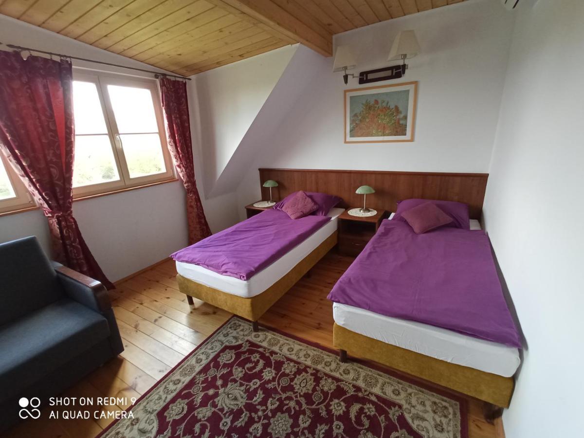 Dwor Strzyzew Bed & Breakfast Zelazowa Wola Luaran gambar