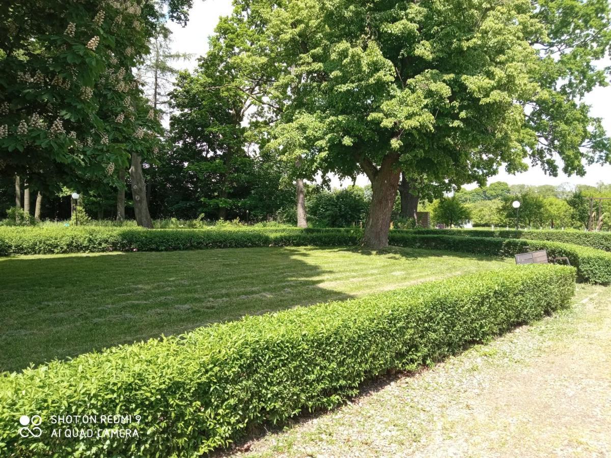 Dwor Strzyzew Bed & Breakfast Zelazowa Wola Luaran gambar