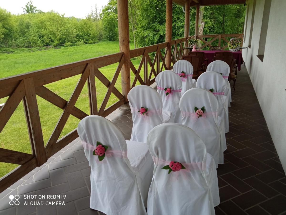 Dwor Strzyzew Bed & Breakfast Zelazowa Wola Luaran gambar